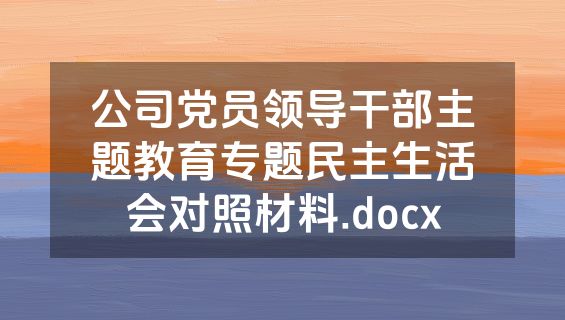 公司党员领导干部主题教育专题民主生活会对照材料.docx