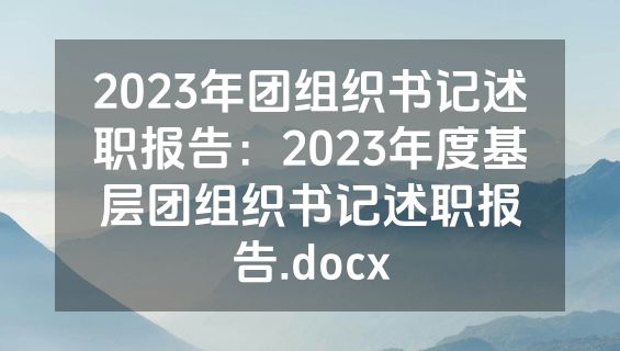 2023年团组织书记述职报告：2023年度基层团组织书记述职报告.docx