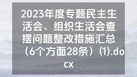 2023年度专题民主生活会、组织生活会查摆问题整改措施汇总（6个方面28条）(1).docx