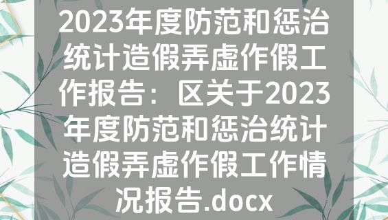 2023年度防范和惩治统计造假弄虚作假工作报告：区关于2023年度防范和惩治统计造假弄虚作假工作情况报告.docx