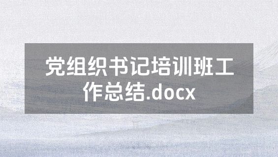 党组织书记培训班工作总结.docx
