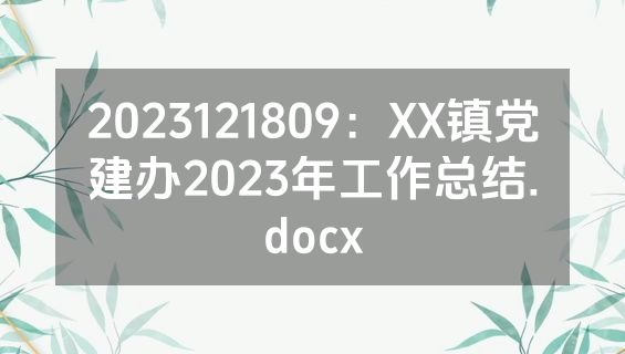 2023121809：XX镇党建办2023年工作总结.docx