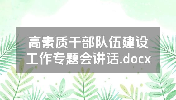 高素质干部队伍建设工作专题会讲话.docx