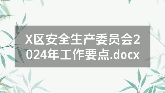 X区安全生产委员会2024年工作要点.docx