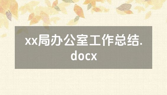 xx局办公室工作总结.docx
