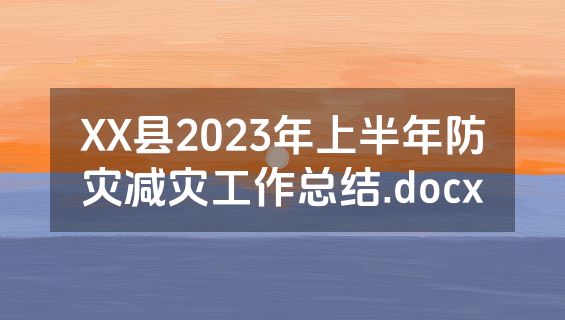 XX县2023年上半年防灾减灾工作总结.docx