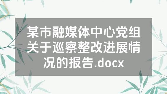 某市融媒体中心党组关于巡察整改进展情况的报告.docx