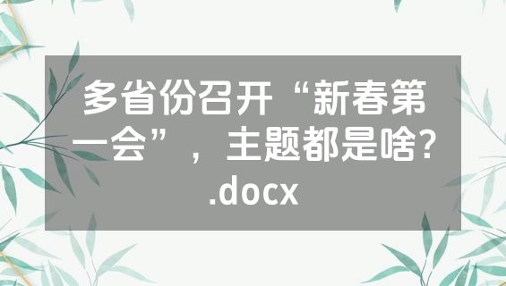 多省份召开“新春第一会”，主题都是啥？.docx