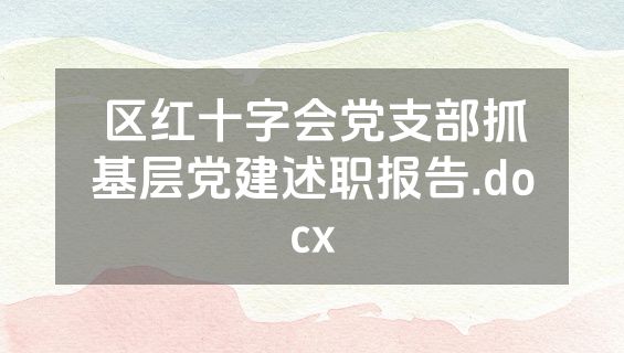 区红十字会党支部抓基层党建述职报告.docx
