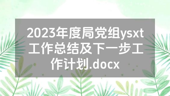 2023年度局党组ysxt工作总结及下一步工作计划.docx