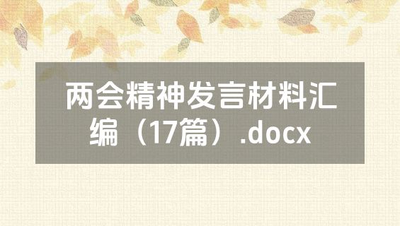 两会精神发言材料汇编（17篇）.docx