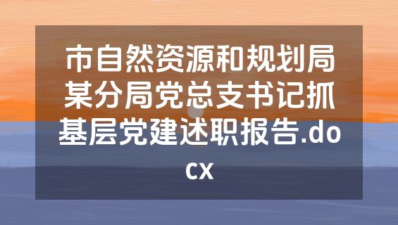 市自然资源和规划局某分局党总支书记抓基层党建述职报告.docx