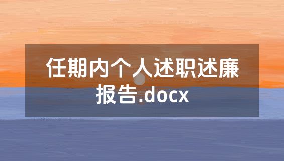 任期内个人述职述廉报告.docx
