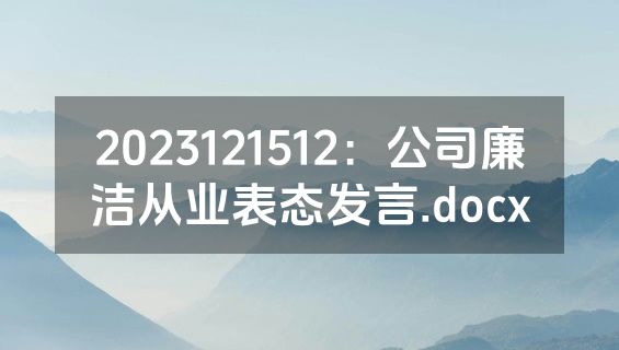 2023121512：公司廉洁从业表态发言.docx