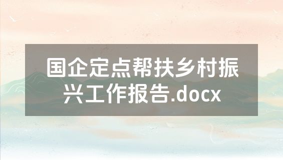 国企定点帮扶乡村振兴工作报告.docx