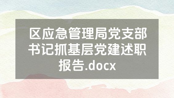 区应急管理局党支部书记抓基层党建述职报告.docx