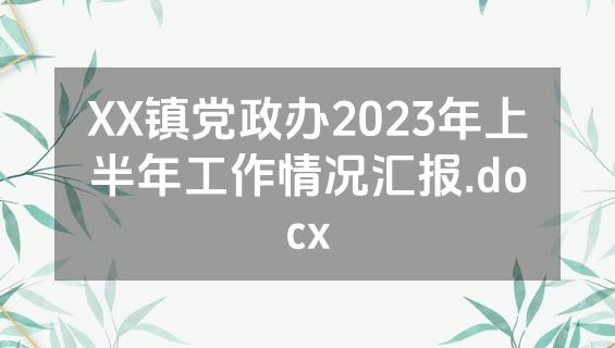 XX镇党政办2023年上半年工作情况汇报.docx