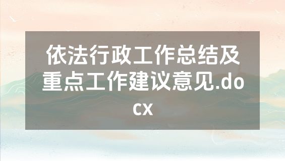 依法行政工作总结及重点工作建议意见.docx