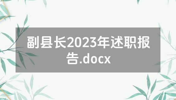 副县长2023年述职报告.docx