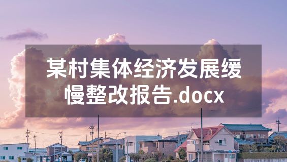 某村集体经济发展缓慢整改报告.docx