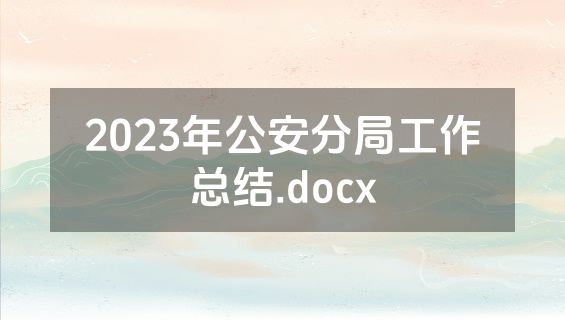 2023年公安分局工作总结.docx