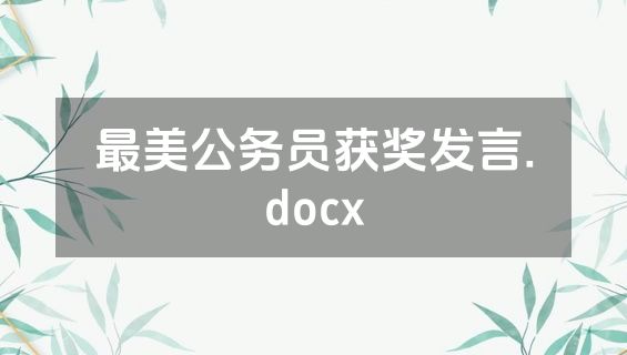 最美公务员获奖发言.docx
