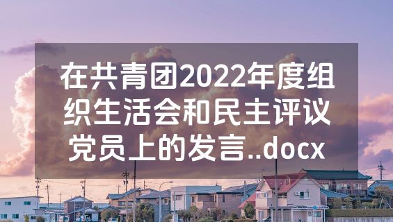 在共青团2022年度组织生活会和民主评议党员上的发言..docx