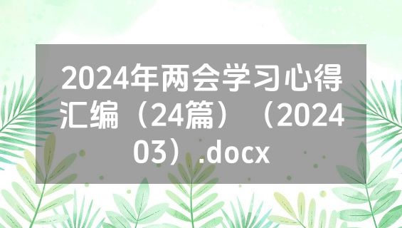 2024年两会学习心得汇编（24篇）（202403）.docx