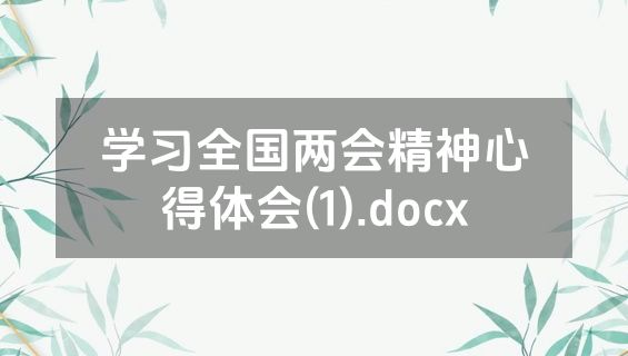 学习全国两会精神心得体会(1).docx