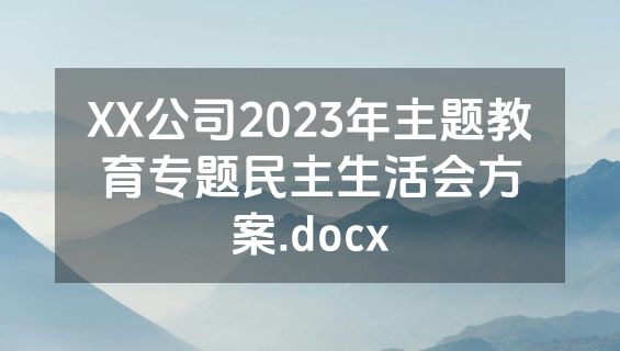 XX公司2023年主题教育专题民主生活会方案.docx