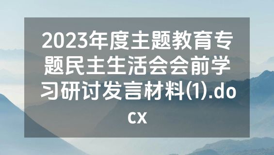 2023年度主题教育专题民主生活会会前学习研讨发言材料(1).docx