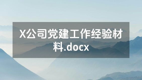 X公司党建工作经验材料.docx