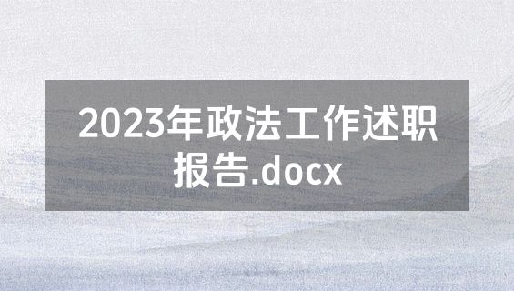 2023年政法工作述职报告.docx