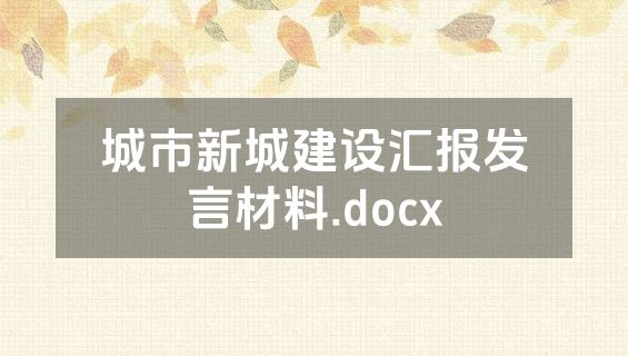 城市新城建设汇报发言材料.docx