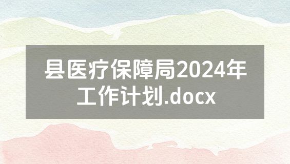 县医疗保障局2024年工作计划.docx