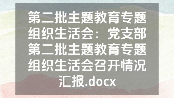 第二批主题教育专题组织生活会：党支部第二批主题教育专题组织生活会召开情况汇报.docx