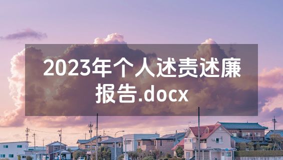 2023年个人述责述廉报告.docx