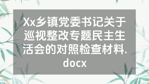 Xx乡镇党委书记关于巡视整改专题民主生活会的对照检查材料.docx