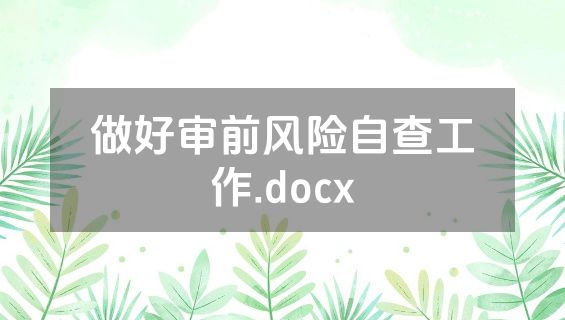 做好审前风险自查工作.docx