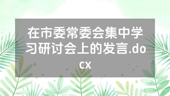 在市委常委会集中学习研讨会上的发言.docx