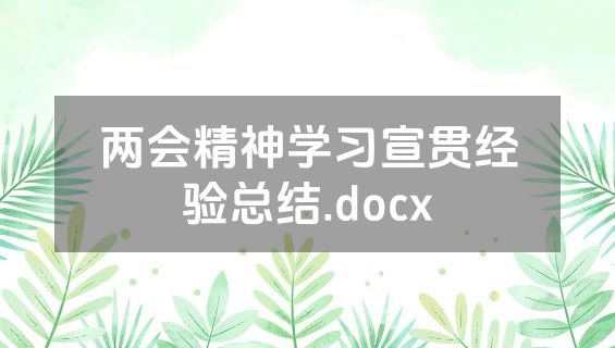 两会精神学习宣贯经验总结.docx