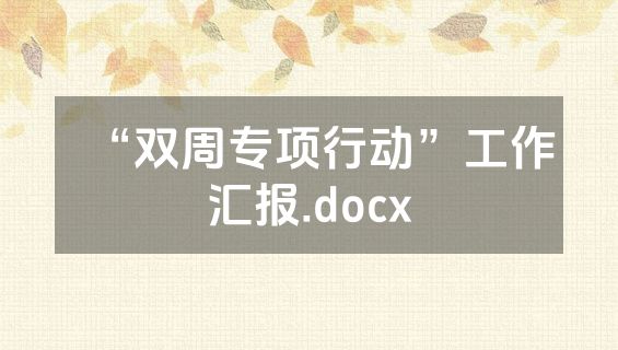 “双周专项行动”工作汇报.docx