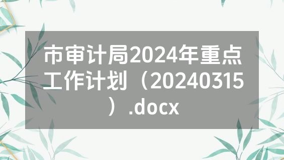 市审计局2024年重点工作计划（20240315）.docx