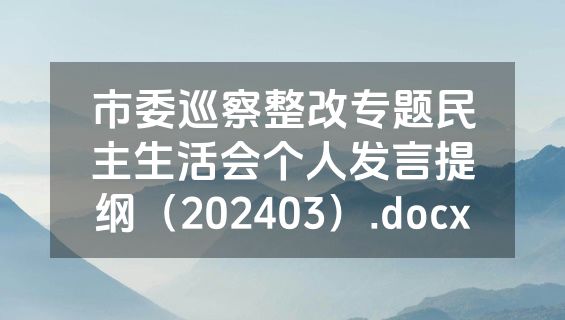 市委巡察整改专题民主生活会个人发言提纲（202403）.docx