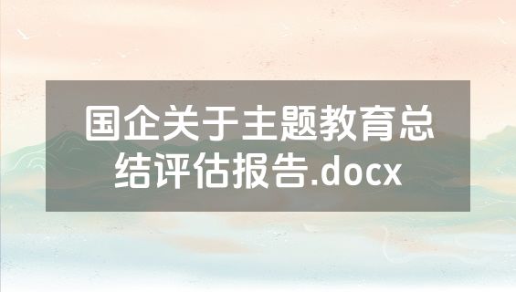 国企关于主题教育总结评估报告.docx