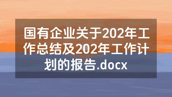 国有企业关于202年工作总结及202年工作计划的报告.docx