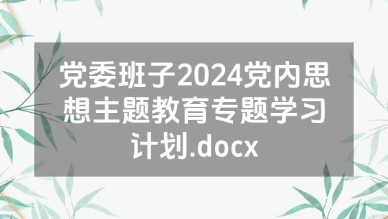 党委班子2024党内思想主题教育专题学习计划.docx