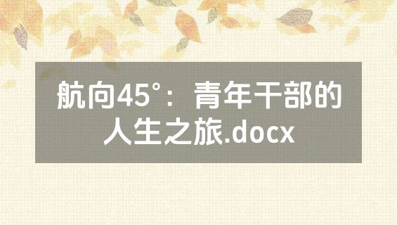 航向45°：青年干部的人生之旅.docx