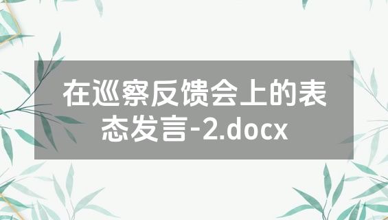 在巡察反馈会上的表态发言-2.docx