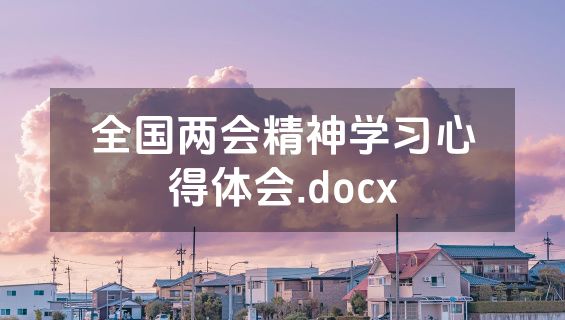 全国两会精神学习心得体会.docx